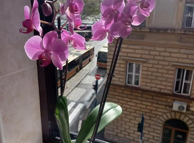 Apartman Vesna Fiume